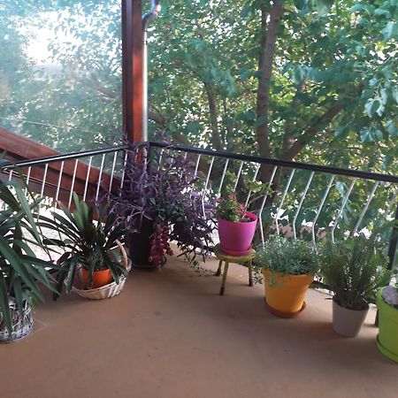 Apartmani Corleone Bilice Esterno foto