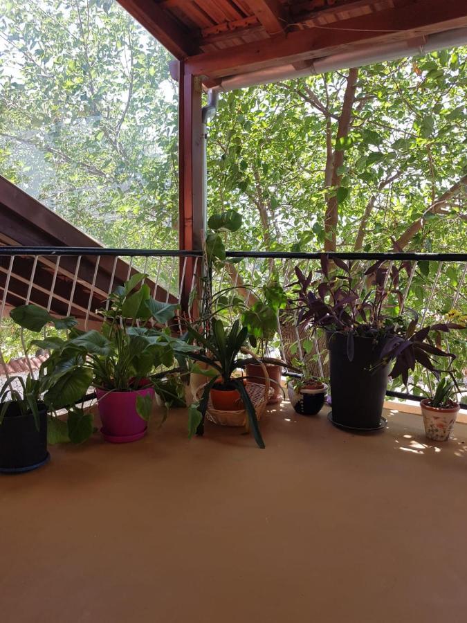 Apartmani Corleone Bilice Esterno foto