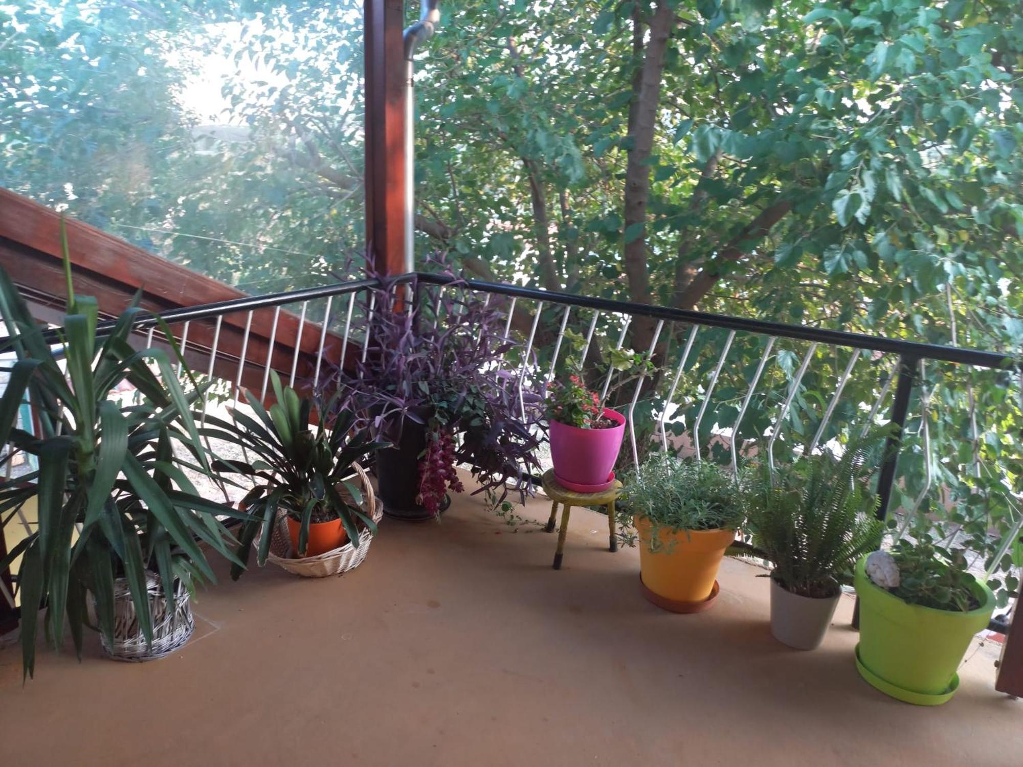Apartmani Corleone Bilice Esterno foto